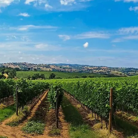 Nice And Cozy Apprtment In Murazzano With Panoramic View Apartmán Murazzano (Cuneo)