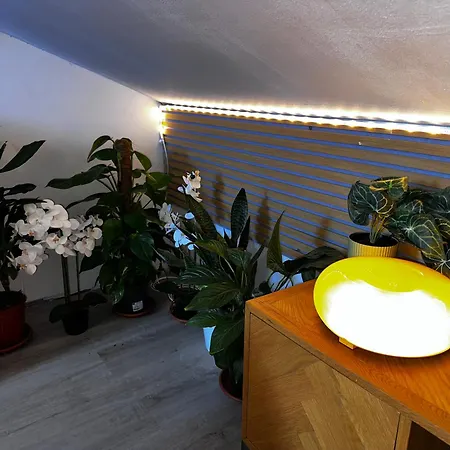 Apartment And Cozy Apprtment In With Panoramic View Murazzano (Cuneo)